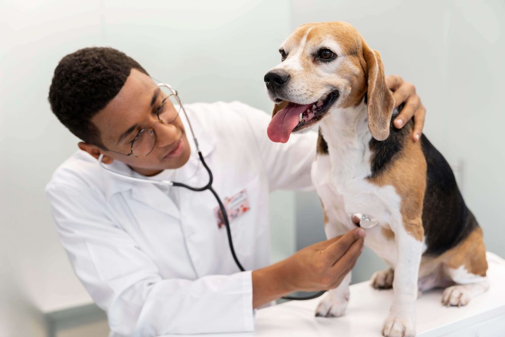 How to Spot a Fake Review When Searching for the Best Vet in Dubai The Role of Ethical Practices in Review Management stbensmilwaukee.org